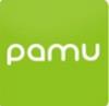 PaMu(TWS真无线蓝牙耳机)