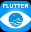 flutter示例+(移动应用开发)